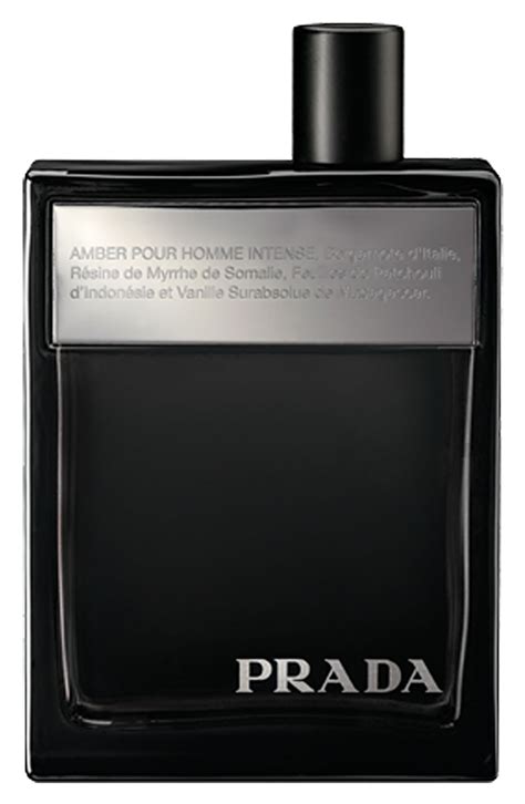 prada amber pour homme vs prada l'homme|amber pour homme intense.